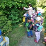 phoca_thumb_m_poklad krteci 27 Fotogalerie